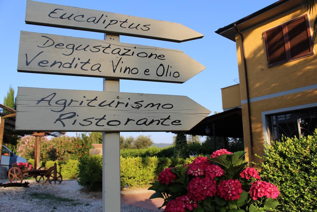 Agriturismo Eucaliptus 볼게리 외부 사진